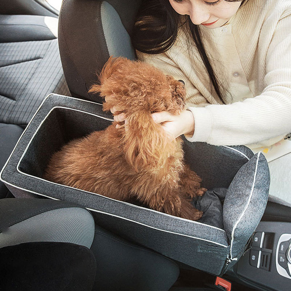 Pet Essentials Every Owner Should Have