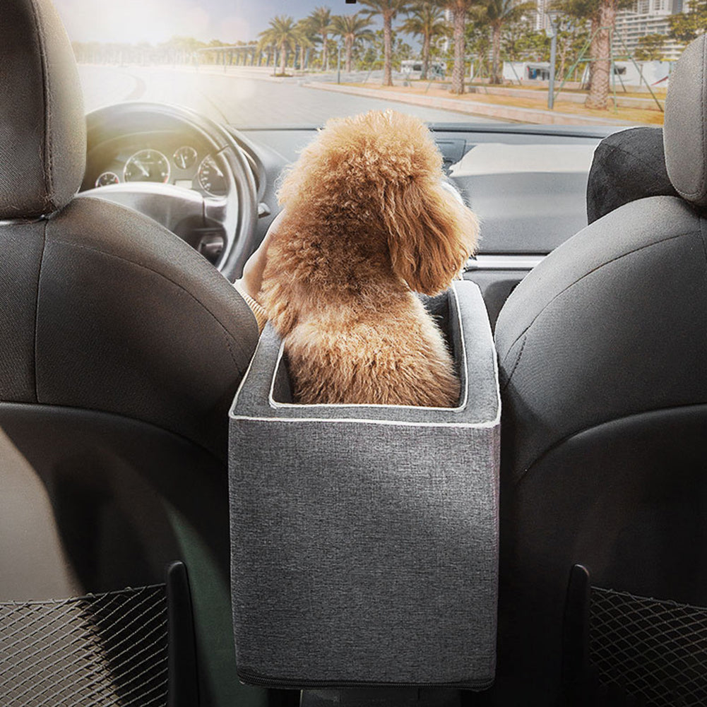 Building a Stronger Bond With Your Pet