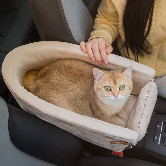 Simple Ways to Keep Your Pet Happy Every Day